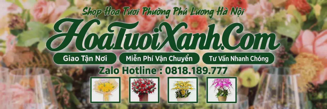 Ảnh bìa Tiệm Hoa Tươi Tại Phường Phú Lương Hà Nội, Hoa Tươi Mới Mỗi Ngày