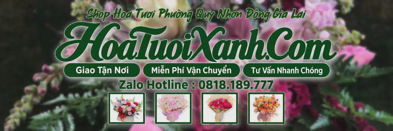 Ảnh bìa Tiệm Hoa Tươi Tại Phường Quy Nhơn Đông Gia Lai, Đặt Hoa Tươi Theo Yêu Cầu