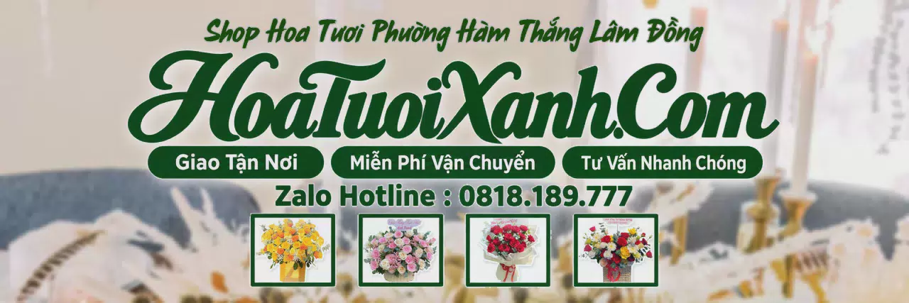 Ảnh bìa Tiệm Hoa Tươi Tại Phường Hàm Thắng Lâm Đồng, Dịch Vụ Đặt Hoa Trực Tuyến