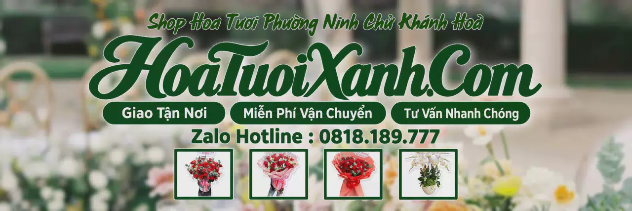Ảnh bìa Tiệm Hoa Tươi Tại Phường Ninh Chử Khánh Hoà, Đặt Hoa Tươi Trực Tuyến