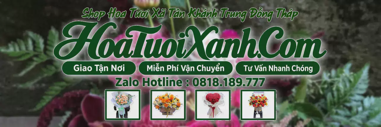Ảnh bìa Tiệm Hoa Tươi Tại Xã Tân Khánh Trung Đồng Tháp, Đặt Hoa Online Giao Nhanh