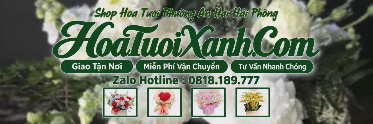 Ảnh bìa Tiệm Hoa Tươi Tại Phường An Hải Hải Phòng, Điện Hoa Tận Nơi Giá Tốt