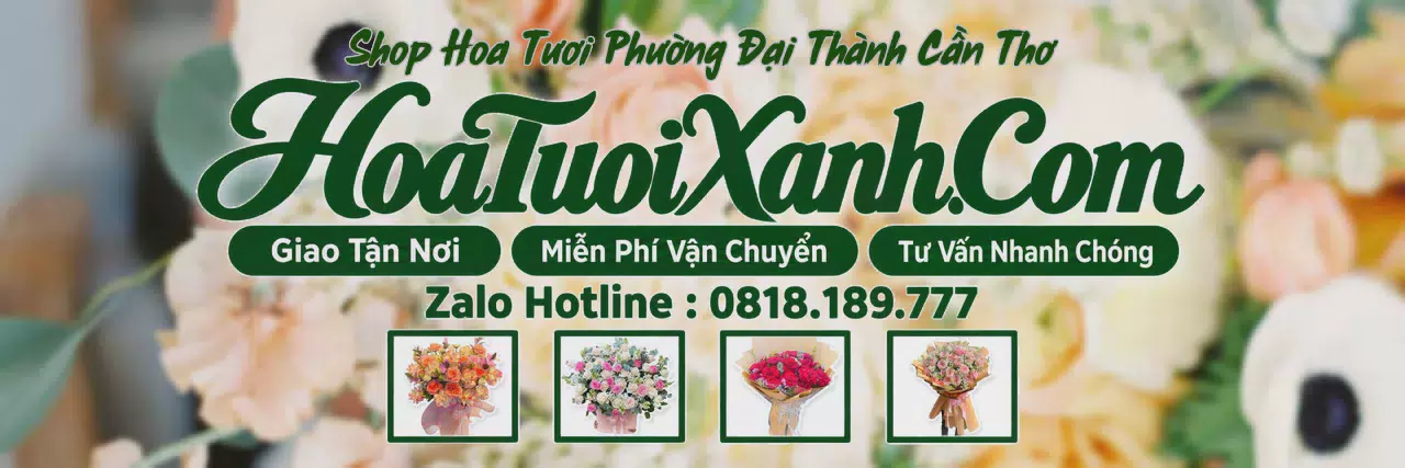 Ảnh bìa Tiệm Hoa Tươi Tại Phường Đại Thành Cần Thơ, Đặt Hoa Tươi Giao Nhanh