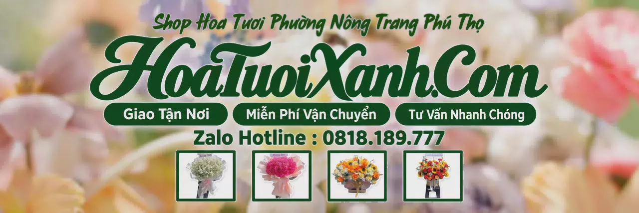 Ảnh bìa Tiệm Hoa Tươi Tại Phường Nông Trang Phú Thọ, Đặt Hoa Giao Tận Nơi