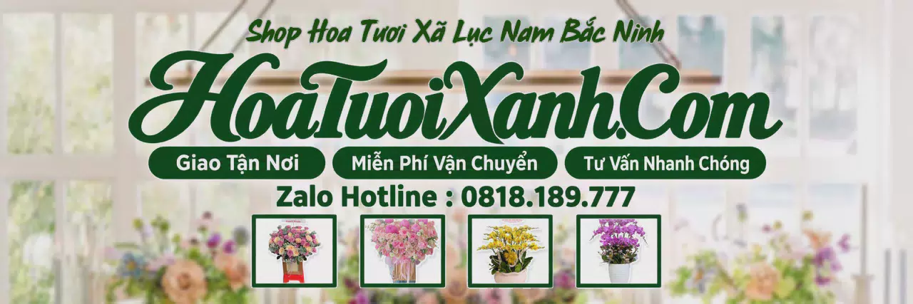Ảnh bìa Tiệm Hoa Tươi Tại Xã Lục Nam Bắc Ninh, Tiệm Hoa Giao Hàng Tận Nơi