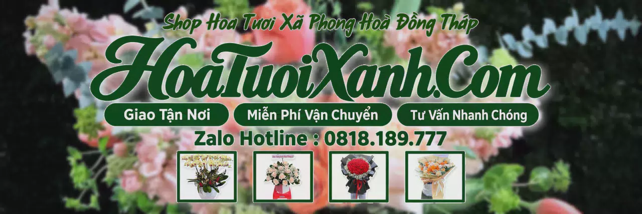 Ảnh bìa Tiệm Hoa Tươi Tại Xã Phong Hoà Đồng Tháp, Shop Hoa Đẹp Giao Tận Nhà