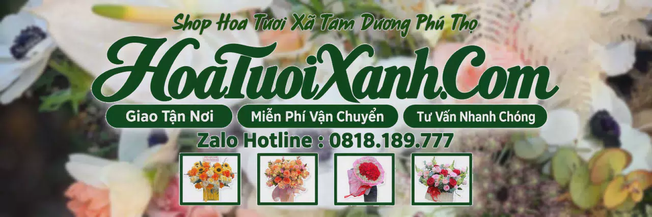 Ảnh bìa Tiệm Hoa Tươi Tại Xã Tam Dương Phú Thọ, Đặt Hoa Giao Tận Nơi