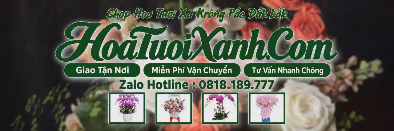 Ảnh bìa Tiệm Hoa Tươi Tại Xã Krông Pắc Đắk Lắk, Tiệm Hoa Giao Hàng Tận Nơi