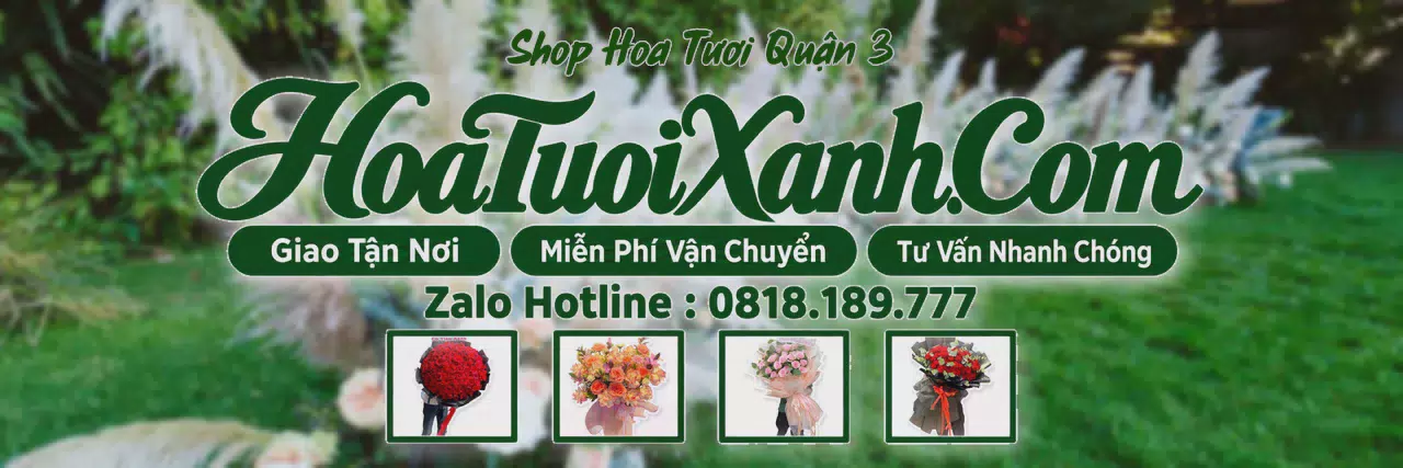 Ảnh bìa Tiệm Hoa Tươi Tại Quận 3, Hoa Tươi Mới Mỗi Ngày