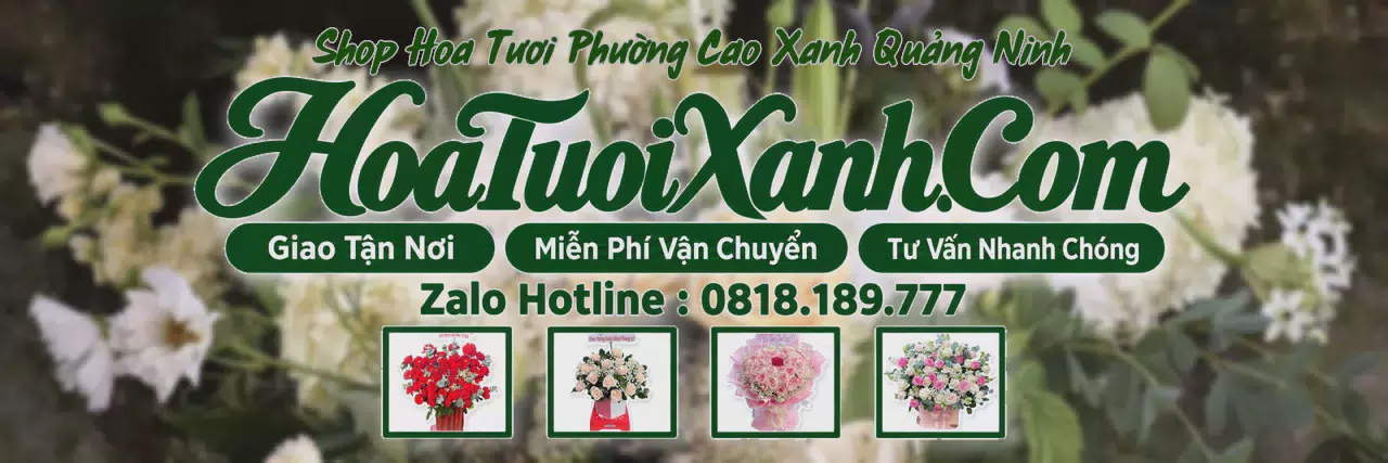 Ảnh bìa Tiệm Hoa Tươi Tại Phường Cao Xanh Quảng Ninh, Shop Hoa Tươi Uy Tín