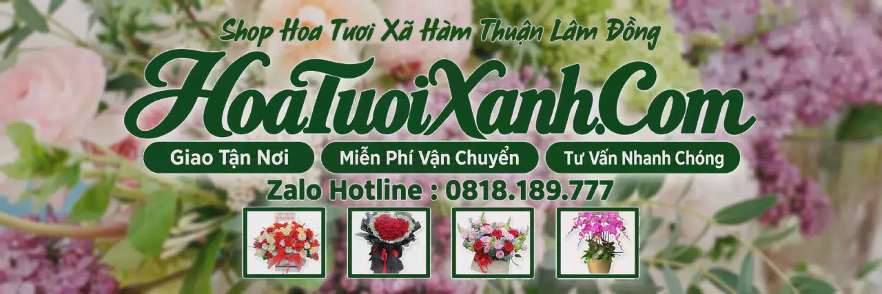 Ảnh bìa Tiệm Hoa Tươi Tại Xã Hàm Thuận Lâm Đồng, Đặt Hoa Tươi Theo Yêu Cầu