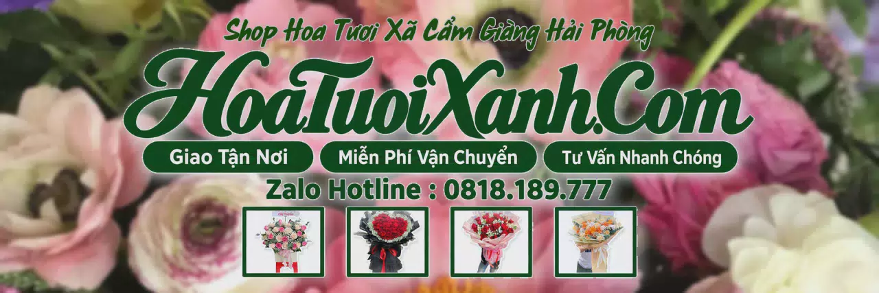 Ảnh bìa Tiệm Hoa Tươi Tại Xã Cẩm Giàng Hải Phòng, Đặt Hoa Đẹp Giá Tốt