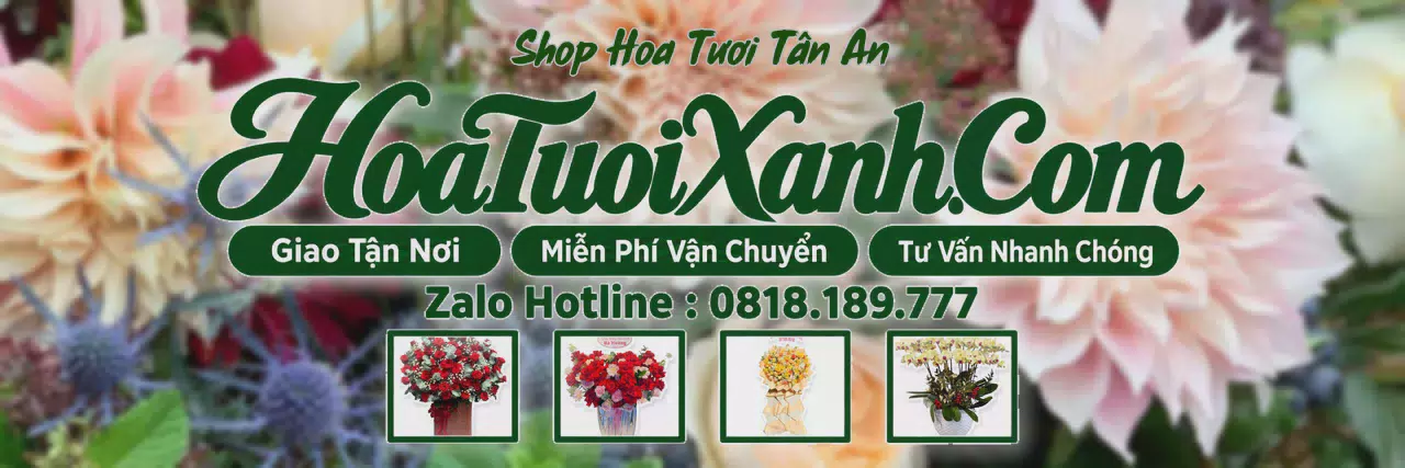 Ảnh bìa Tiệm Hoa Tươi Tại Tân An, Cửa Hàng Hoa Tươi Uy Tín