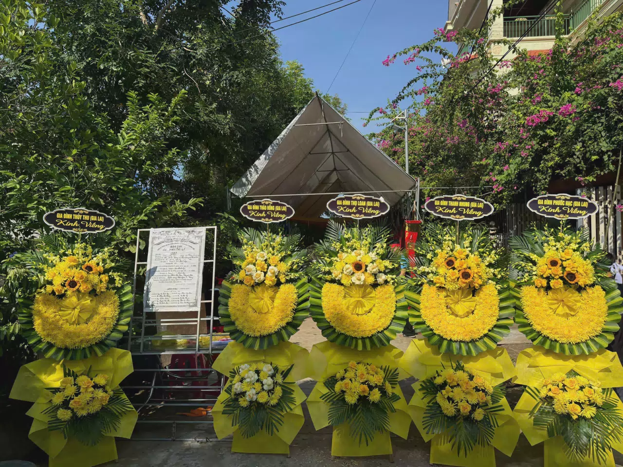 Ảnh bìa Hoa Tươi Buôn Ma Thuột