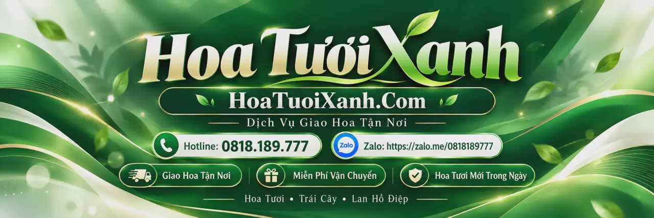 Ảnh minh họa bó hoa hồng phấn