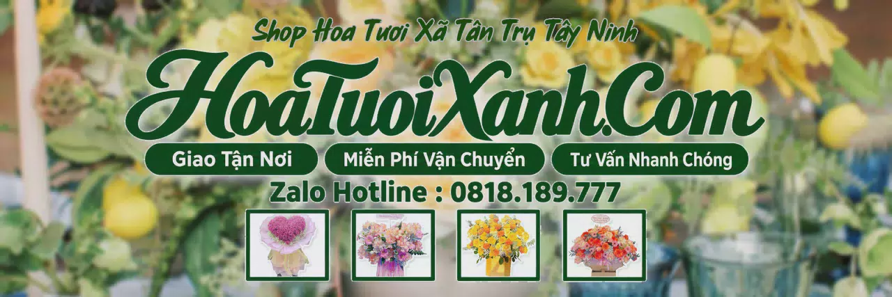Ảnh bìa Tiệm Hoa Tươi Tại Xã Tân Trụ Tây Ninh, Đặt Hoa Online Giao Nhanh