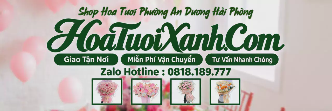 Ảnh bìa Tiệm Hoa Tươi Tại Phường An Dương Hải Phòng, Đặt Hoa Đẹp Giá Tốt