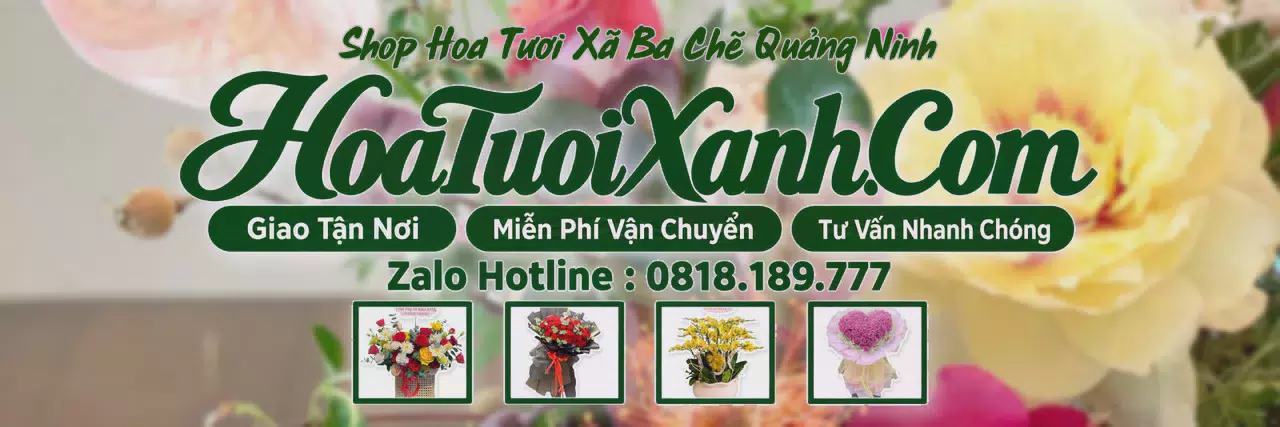 Ảnh bìa Tiệm Hoa Tươi Tại Xã Ba Chẽ Quảng Ninh, Shop Hoa Online Uy Tín