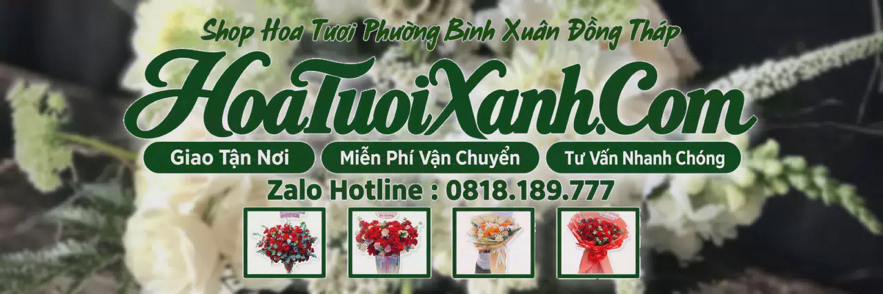 Ảnh bìa Tiệm Hoa Tươi Tại Phường Bình Xuân Đồng Tháp, Shop Hoa Tươi Chất Lượng