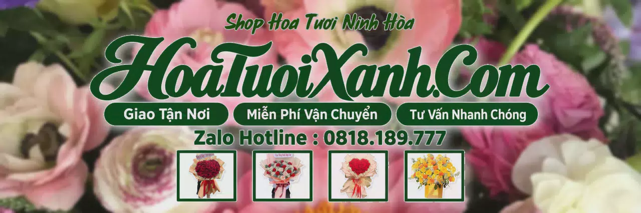Ảnh bìa Tiệm Hoa Tươi Tại Ninh Hòa, Shop Hoa Tươi Uy Tín