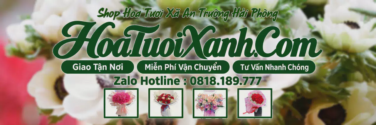 Ảnh bìa Tiệm Hoa Tươi Tại Xã An Trường Hải Phòng, Shop Hoa Tươi Uy Tín