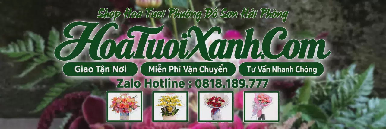 Ảnh bìa Tiệm Hoa Tươi Tại Phường Đồ Sơn Hải Phòng, Shop Hoa Tươi Gần Đây