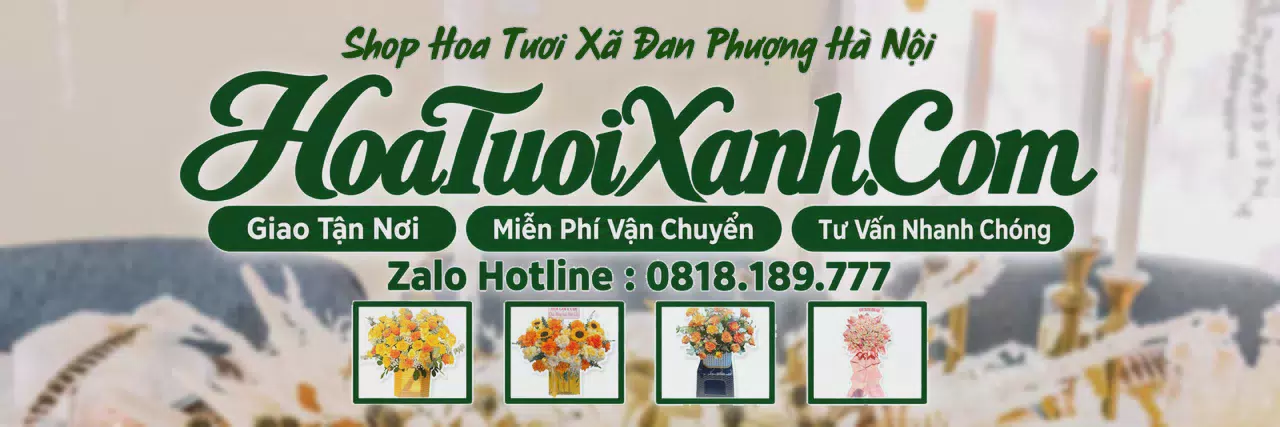 Ảnh bìa Tiệm Hoa Tươi Tại Xã Đan Phượng Hà Nội, Điện Hoa Tươi Giá Tốt