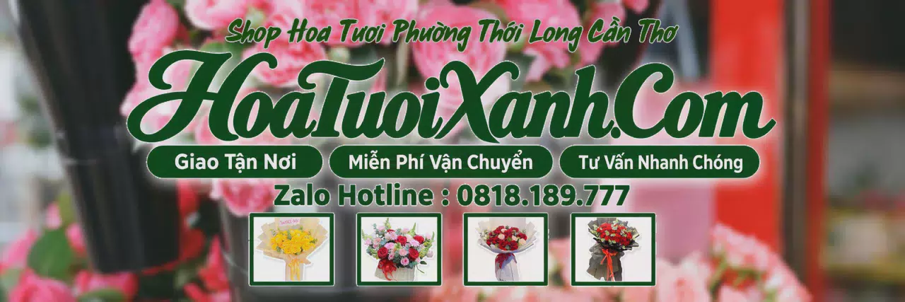 Ảnh bìa Tiệm Hoa Tươi Tại Phường Thới Long Cần Thơ, Dịch Vụ Giao Hoa Nhanh
