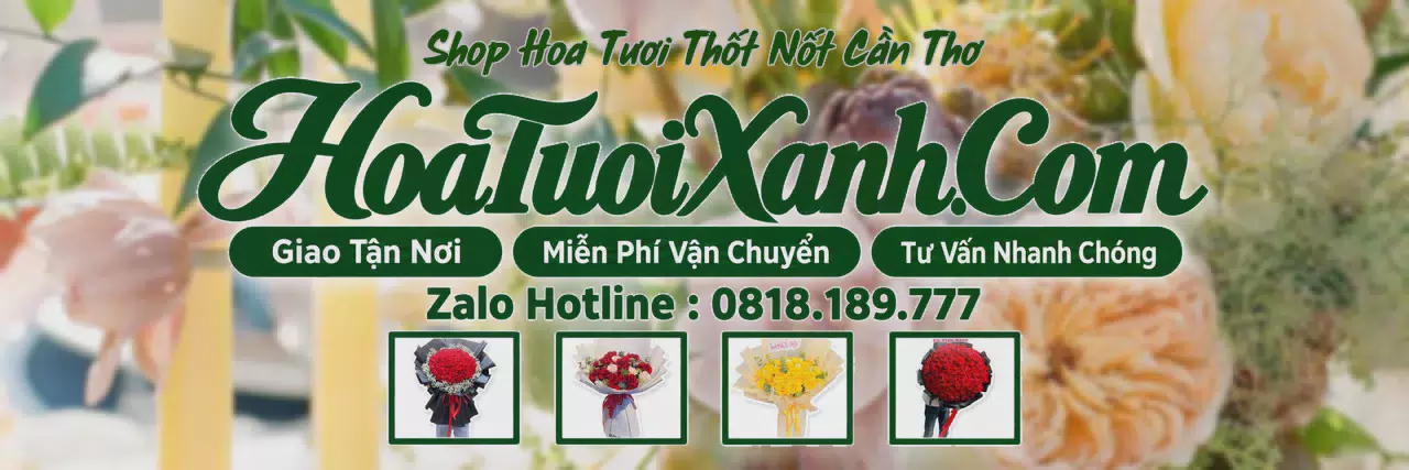 Ảnh bìa Tiệm Hoa Tươi Tại Thốt Nốt Cần Thơ, Cửa Hàng Hoa Tươi Giá Tốt