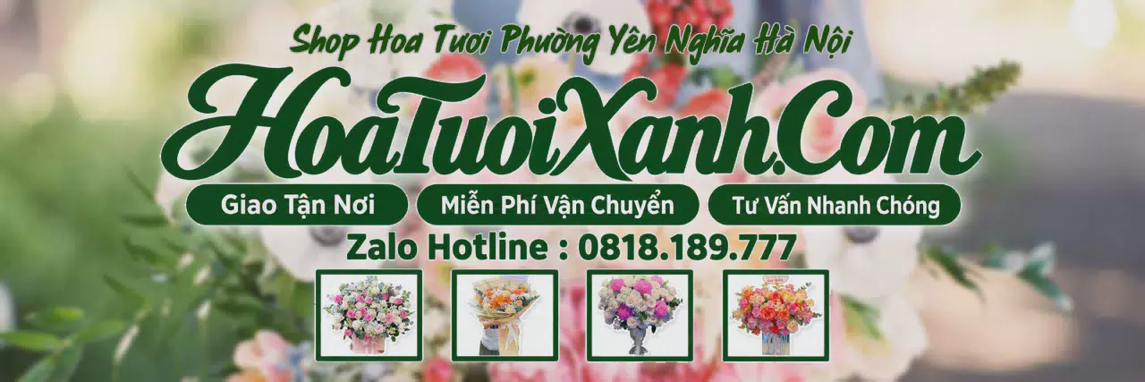 Ảnh bìa Tiệm Hoa Tươi Tại Phường Yên Nghĩa Hà Nội, Đặt Hoa Nhanh Giao Đúng Hẹn
