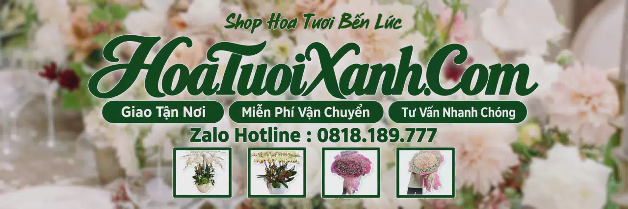 Ảnh bìa Tiệm Hoa Tươi Tại Bến Lức, Shop Hoa Tươi Gần Đây