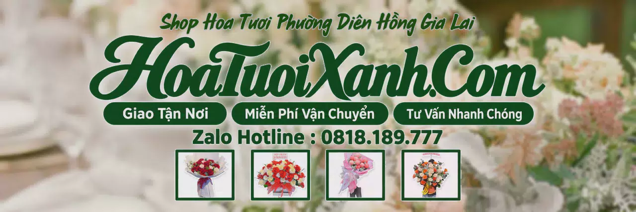 Ảnh bìa Tiệm Hoa Tươi Tại Phường Diên Hồng Gia Lai, Đặt Hoa Nhanh Giao Đúng Hẹn