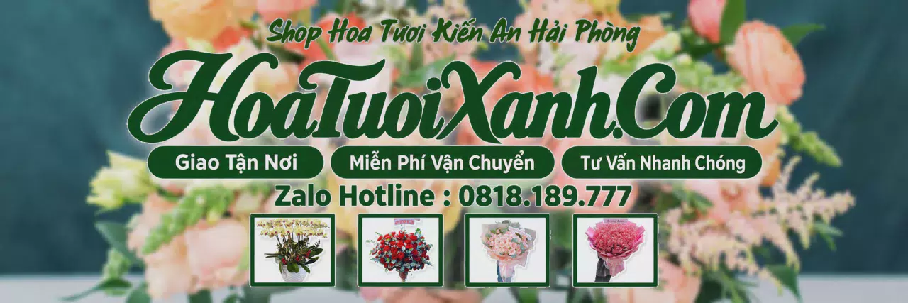 Ảnh bìa Tiệm Hoa Tươi Tại Kiến An Hải Phòng, Giao Hoa Nhanh Trong 2 Giờ