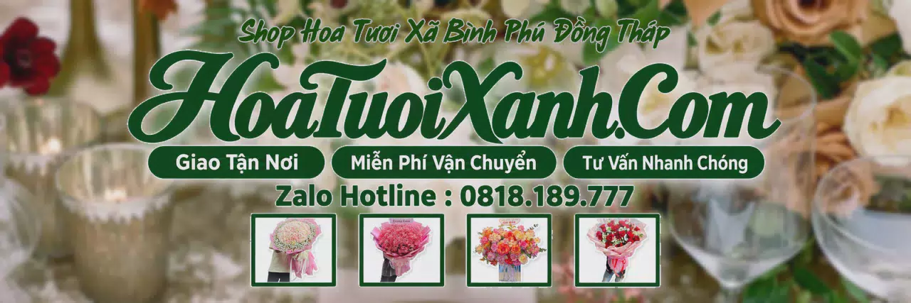 Ảnh bìa Tiệm Hoa Tươi Tại Xã Bình Phú Đồng Tháp, Tiệm Hoa Đẹp Giá Hợp Lý