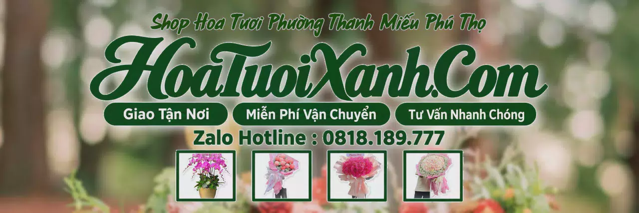 Ảnh bìa Tiệm Hoa Tươi Tại Phường Thanh Miếu Phú Thọ, Hoa Tươi Mới Mỗi Ngày