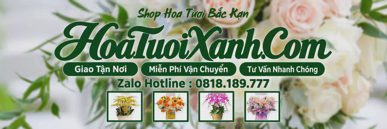 Ảnh bìa Tiệm Hoa Tươi Tại Bắc Kạn, Giao Hoa Nhanh Trong 2 Giờ