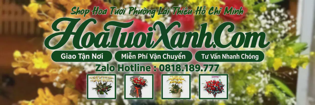 Ảnh bìa Tiệm Hoa Tươi Tại Phường Lái Thiêu Hồ Chí Minh, Đặt Hoa Tươi Theo Yêu Cầu
