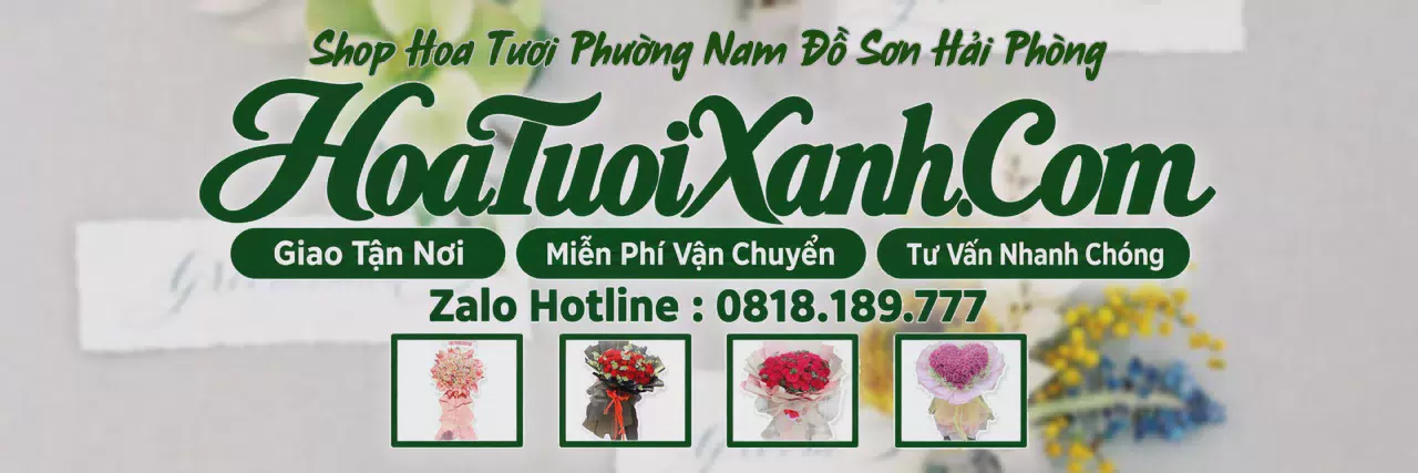 Ảnh bìa Tiệm Hoa Tươi Tại Phường Nam Đồ Sơn Hải Phòng, Giao Hoa Tươi Trong Ngày