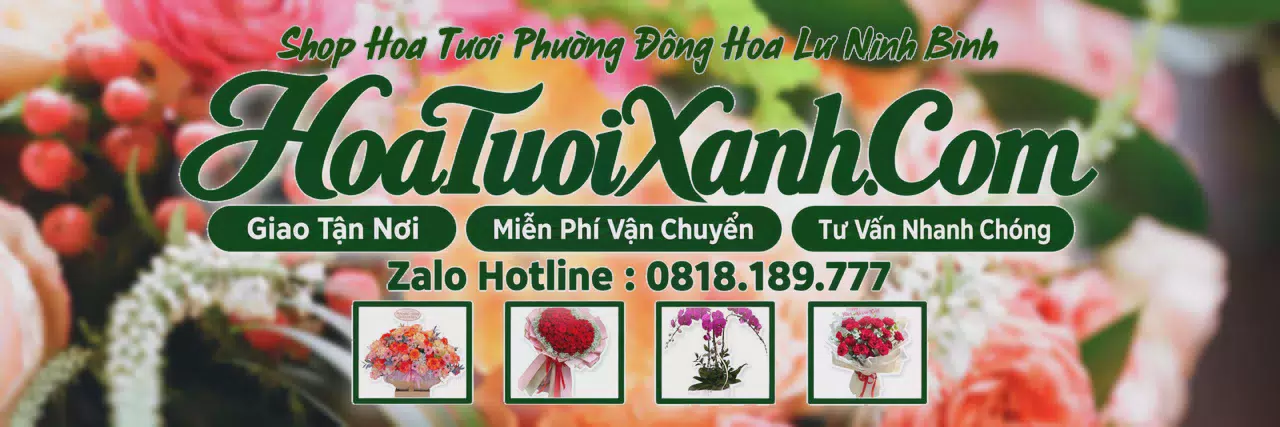 Ảnh bìa Tiệm Hoa Tươi Tại Phường Đông Hoa Lư Ninh Bình, Shop Hoa Tươi Chất Lượng