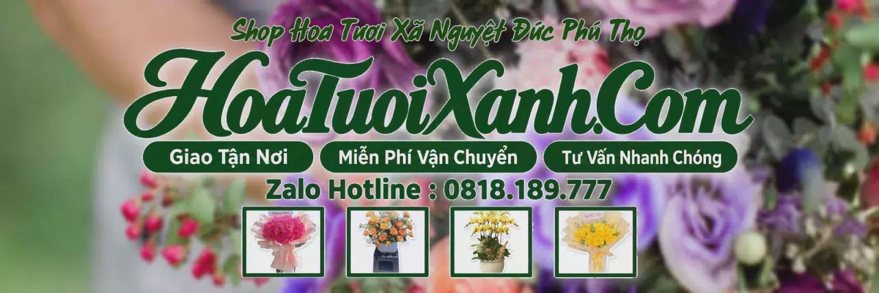 Ảnh bìa Tiệm Hoa Tươi Tại Xã Nguyệt Đức Phú Thọ, Tiệm Hoa Giao Hàng Tận Nơi