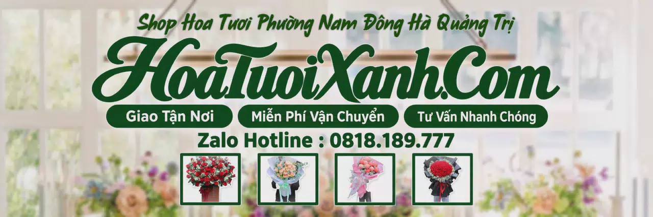 Ảnh bìa Tiệm Hoa Tươi Tại Phường Nam Đông Hà Quảng Trị, Hoa Tươi Mới Mỗi Ngày