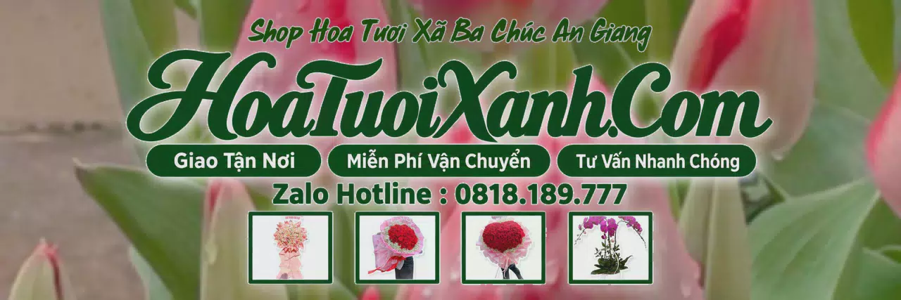 Ảnh bìa Tiệm Hoa Tươi Tại Xã Ba Chúc An Giang, Cửa Hàng Hoa Tươi Giá Tốt