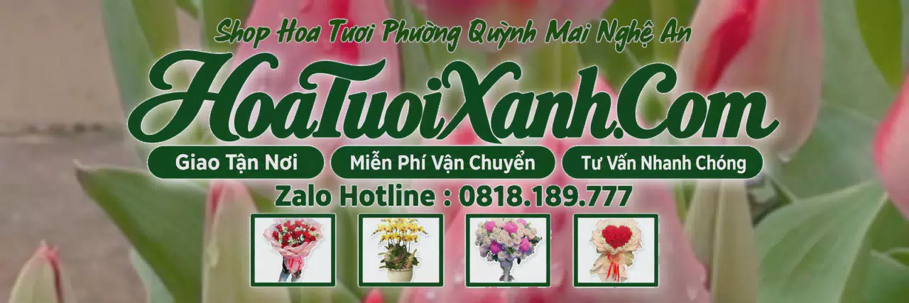 Ảnh bìa Tiệm Hoa Tươi Tại Phường Quỳnh Mai Nghệ An, Đặt Hoa Đẹp Giá Tốt