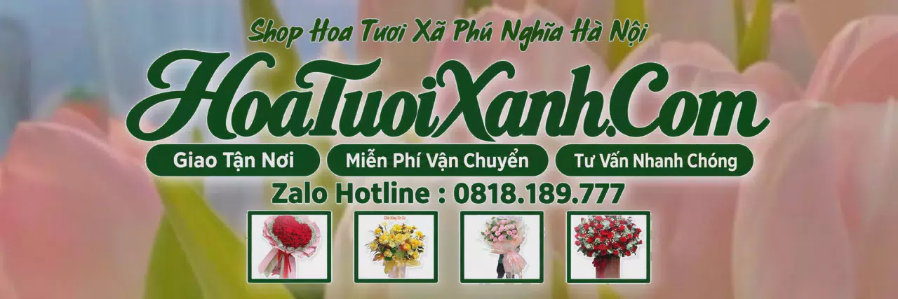 Ảnh bìa Tiệm Hoa Tươi Tại Xã Phú Nghĩa Hà Nội, Điện Hoa Giao Tận Nơi