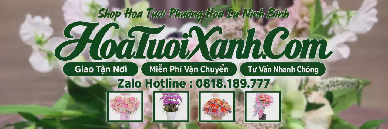 Ảnh bìa Tiệm Hoa Tươi Tại Phường Hoa Lư Ninh Bình, Shop Hoa Tươi Gần Đây
