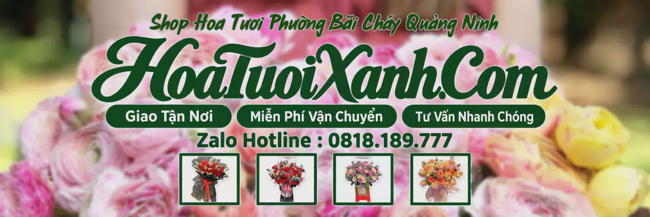 Ảnh bìa Tiệm Hoa Tươi Tại Phường Bãi Cháy Quảng Ninh, Giao Hoa Tận Nơi