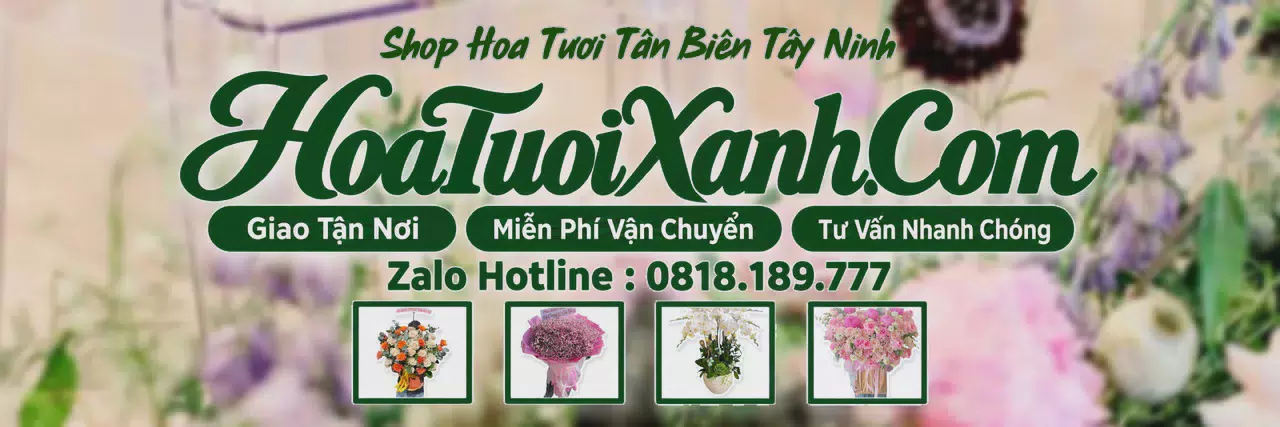 Ảnh bìa Tiệm Hoa Tươi Tại Tân Biên Tây Ninh, Đặt Hoa Online Giao Nhanh