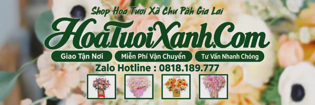 Ảnh bìa Tiệm Hoa Tươi Tại Xã Chư Păh Gia Lai, Dịch Vụ Điện Hoa Chuyên Nghiệp