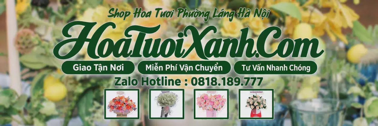 Ảnh bìa Tiệm Hoa Tươi Tại Phường Láng Hà Nội, Điện Hoa Tươi Giá Tốt