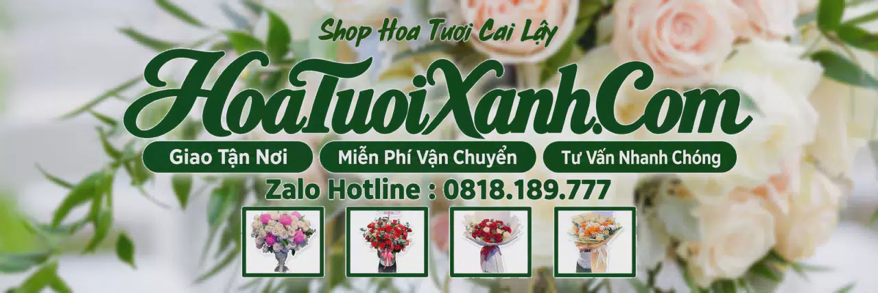 Ảnh bìa Tiệm Hoa Tươi Tại Cai Lậy, Đặt Hoa Tươi Trực Tuyến